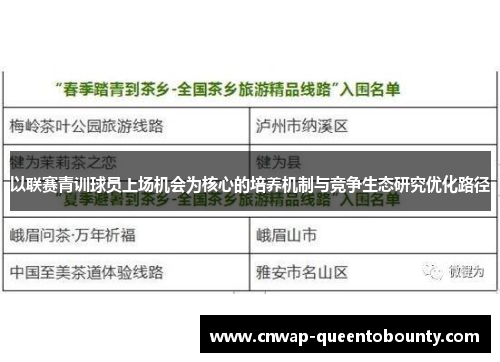 以联赛青训球员上场机会为核心的培养机制与竞争生态研究优化路径