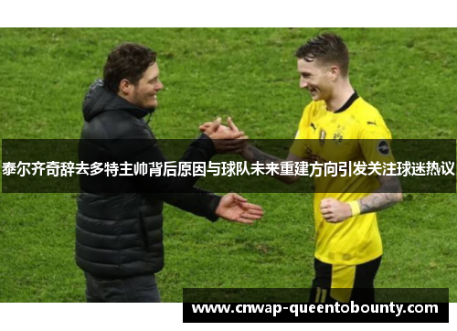 泰尔齐奇辞去多特主帅背后原因与球队未来重建方向引发关注球迷热议